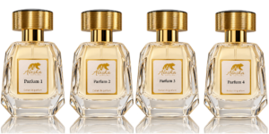 pack 4 parfums